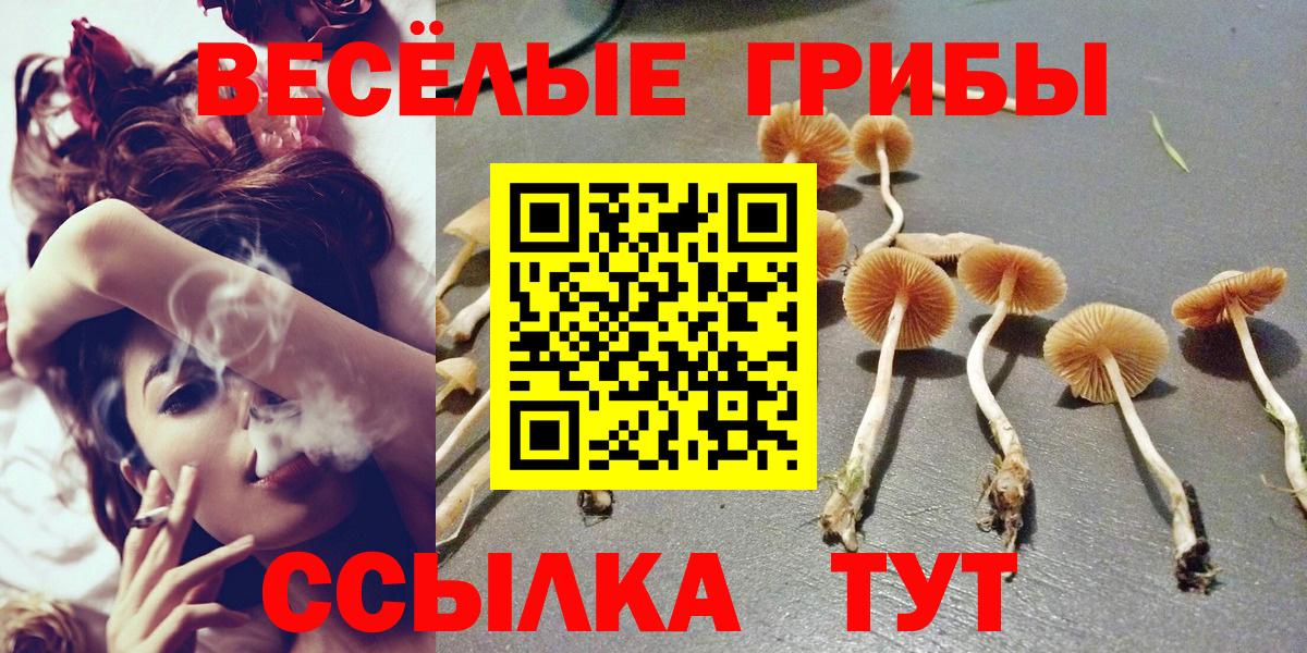 Псилоцибиновые грибы мухоморы  Псилоцибиновые грибы Magic Shrooms  наркота  Вход с VPN  Электрогорск 